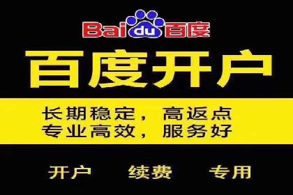 SEM运营公司案例解析：精准广告投放技巧